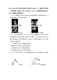 2019-2020学年山东省济南市长清区九年级（上）期末化学试卷