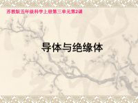 五年级上册科学课件-第三单元 导体和绝缘体_苏教版（共17张PPT）